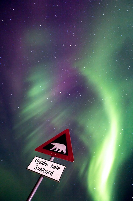 Norveška, Svalbard, aurora borealis, polarna svjetlost, Psihologis