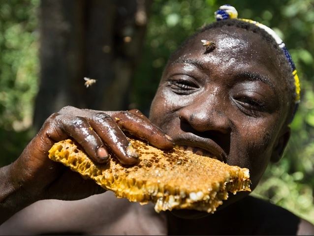 hadza pleme, hadža pleme, zdrava prehrana, zdrava ishrana, Psihologis