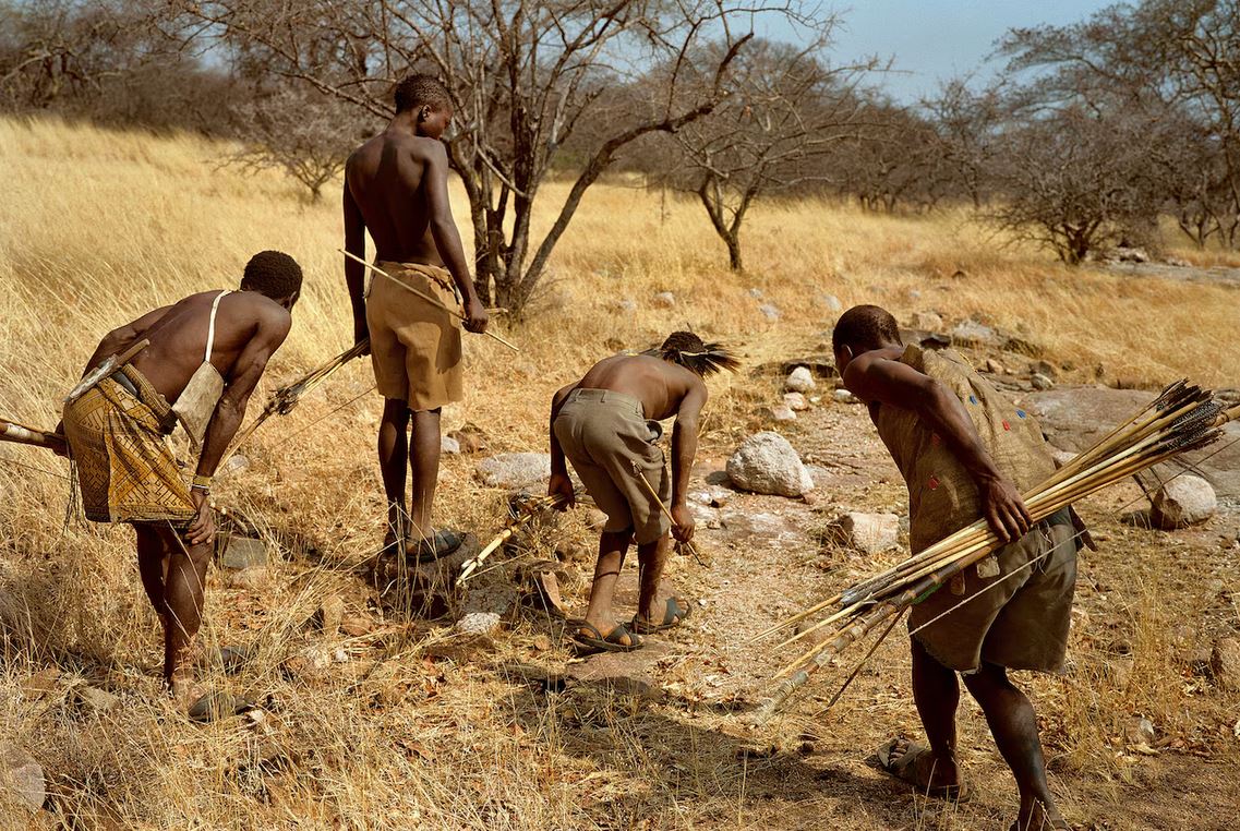 hadza pleme, hadža pleme, zdrava prehrana, zdrava ishrana, Psihologis