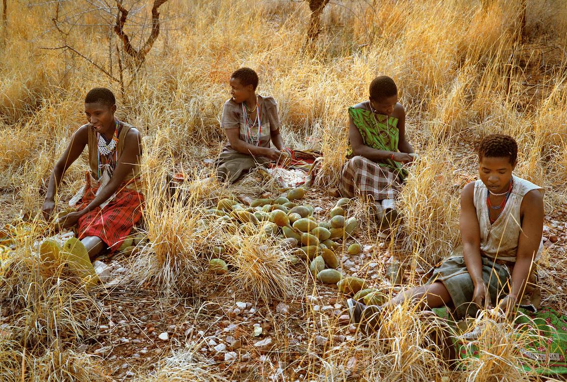 hadza pleme, hadža pleme, zdrava prehrana, zdrava ishrana, orasi baobab, Psihologis