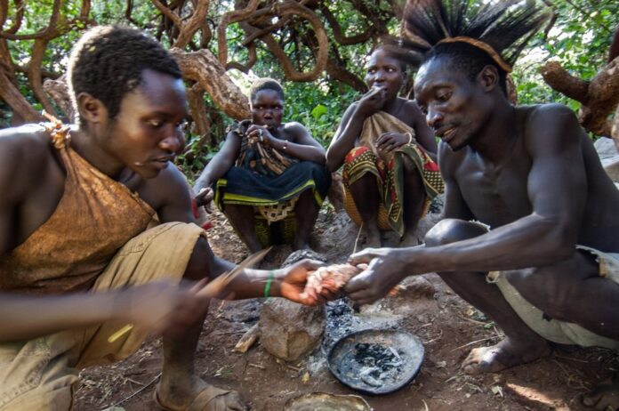 hadza pleme, hadža pleme, zdrava prehrana, zdrava ishrana, Psihologis