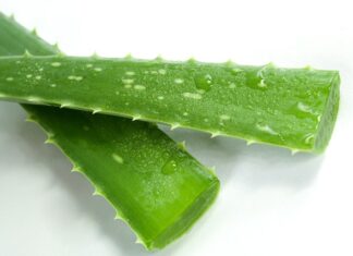 Aloe vera gel, alojin gel, prirodna kozmetika, Psihologis